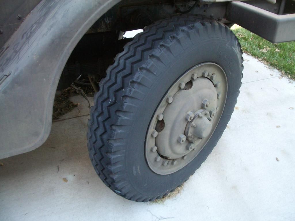 171.jpg